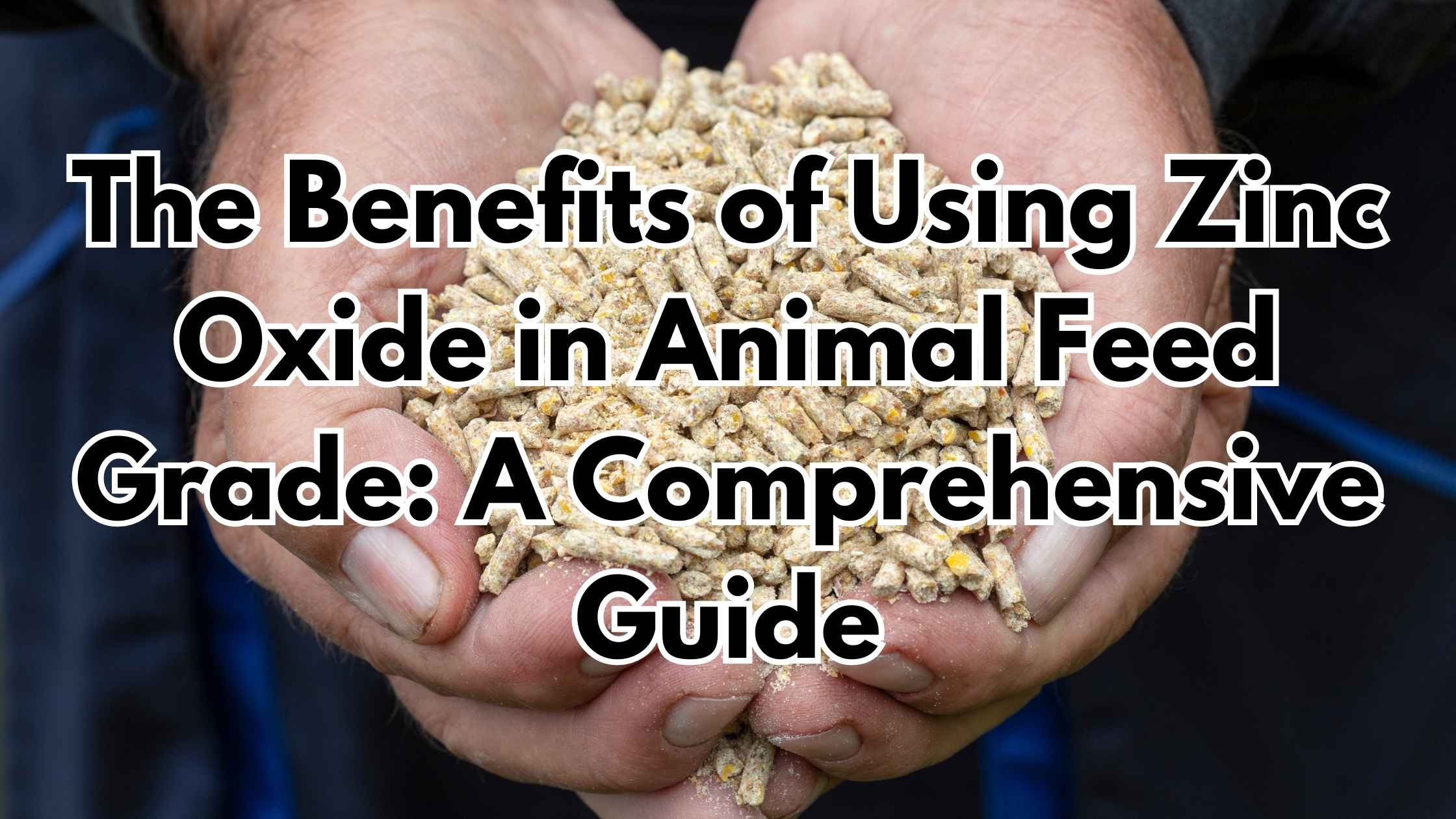 The Benefits of Using Zinc Oxide in Animal Feed Grade: A Comprehensive Guide